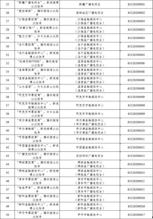 新疆最新新闻爆料消息,揭秘神秘事件背后的真相  第1张